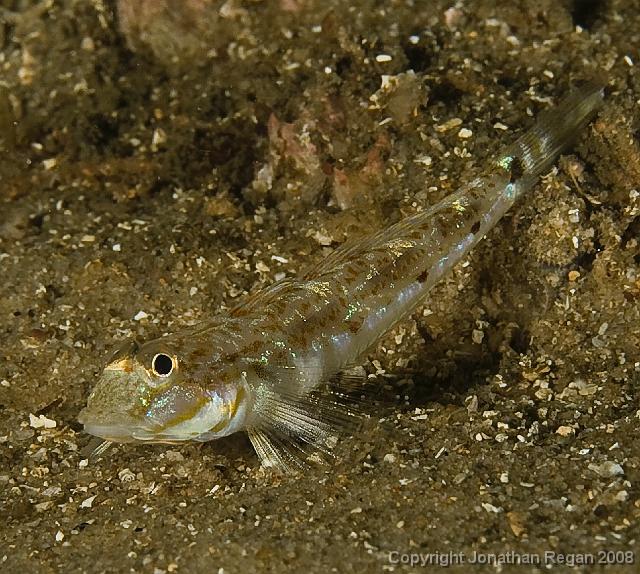 IMG_9423.jpg - , 20 September, 2008