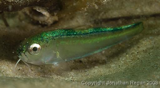 IMG_9649.jpg - , 21 September, 2008