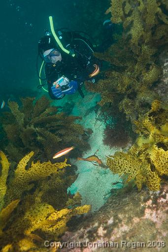 IMG_0376.jpg - Reg and a Weedy Seadragon, 18 October, 2008. The Steps, Kurnell.