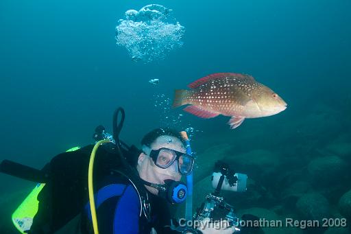 IMG_1032.jpg - Wayne and the Crimson Banded Wrasse, Shelly Beach, 1 November, 2008